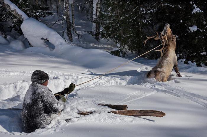 come scegliere gli sci da caccia