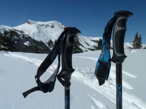 kako odabrati štapove za skijanje