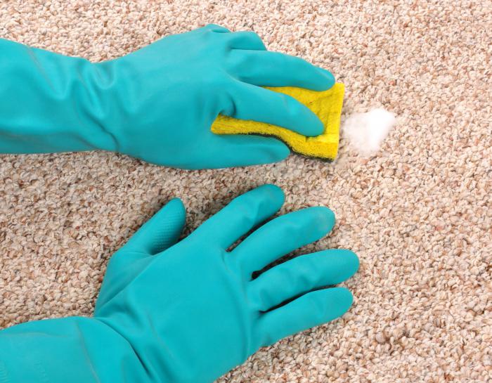 Očistite tepih od urina