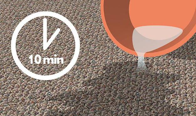 kako očistiti tepih od mirisa