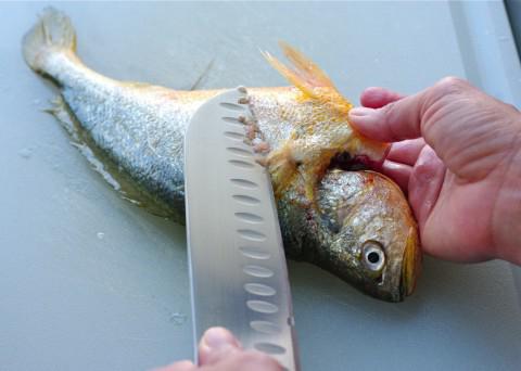 jak czyścić ryby
