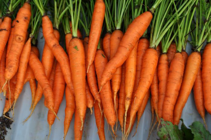 салата от домати и моркови