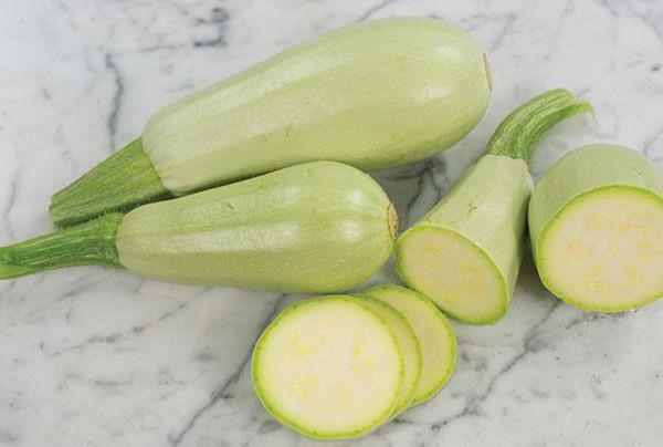 insalata di zucchine fresche