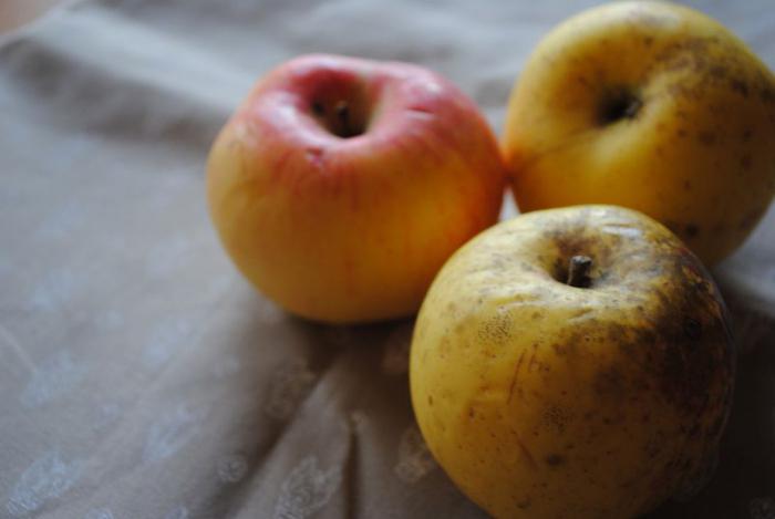 kako kuhati pekmez od jabuka