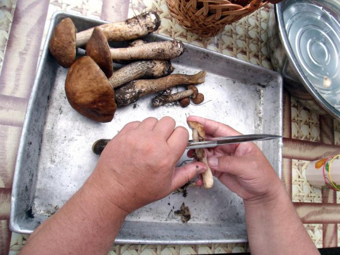 jak gotować grzyby osika z ziemniakami