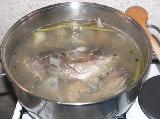 rybí polévka treska filé recept