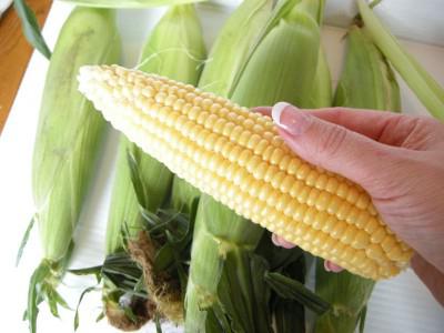 ile ugotować młodej kukurydzy