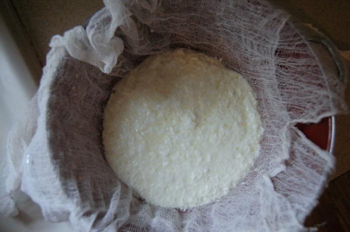 kako proizvoditi svježi sir za dijete