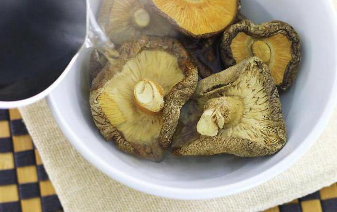 kako kuhati sušene gljive