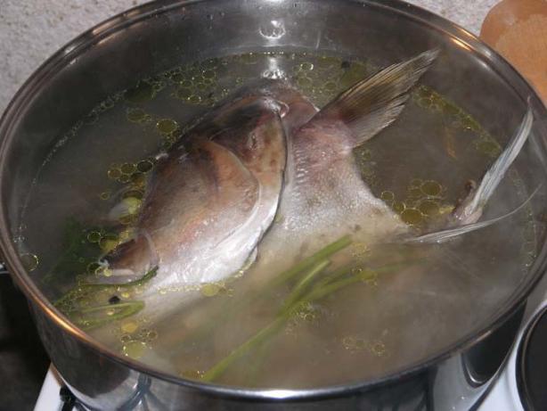 jak moc vařit červené ryby
