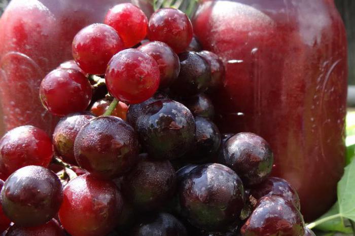 konzervirano grožđe