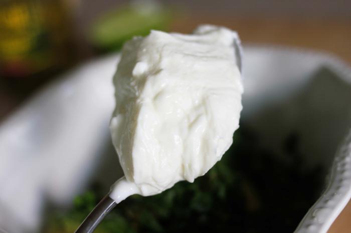 řecký jogurt