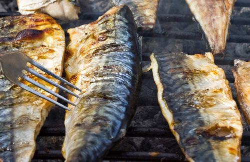 jak si vařit makrela na grilu
