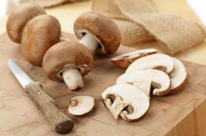 месо са печуркама у рецепту за крем сос