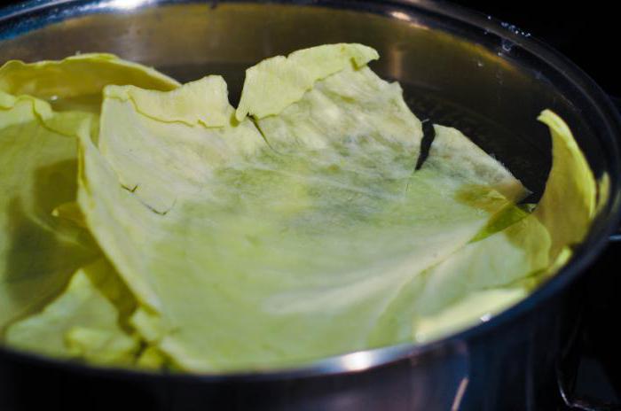 zeljeni koluti v počasnem štedilniku v omaki iz paradižnika in kisle smetane