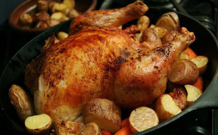 cuocere il pollo sul sale completamente nel forno
