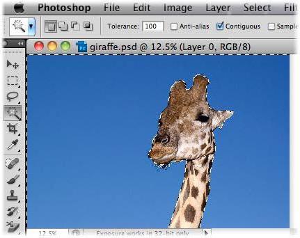 как да изрежете снимка на компютър без програми