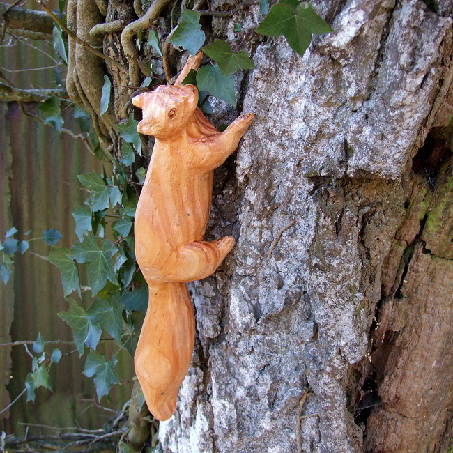 Wiewiórka w ogrodzie