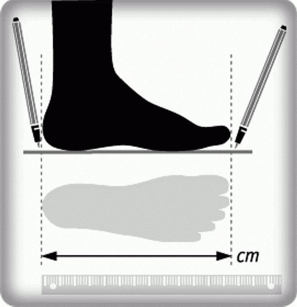 Velikost nohy v cm