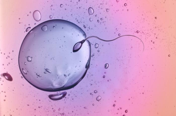 kako saznati razdoblje ovulacije