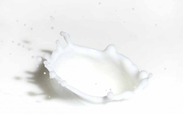 kako razrijediti mlijeko u prahu