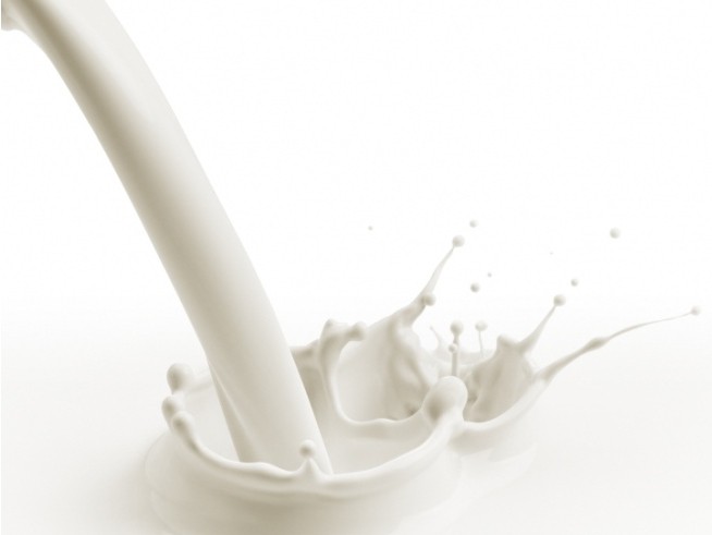preparazione del latte in polvere