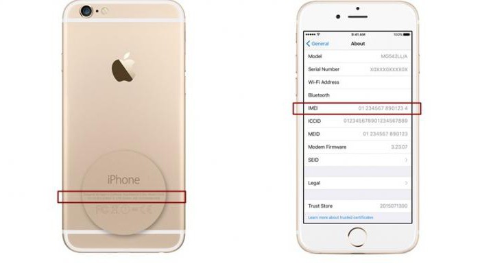 come distinguere l'originale di iPhone 6 da quello falso