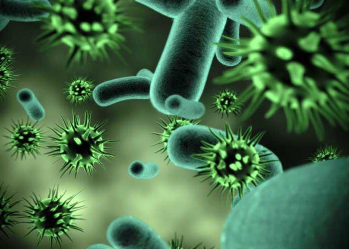 как да се разграничи вирусната инфекция от бактерията