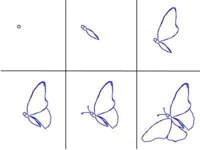 come disegnare una farfalla con una matita