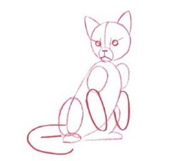 Как да нарисувате котка на етапи