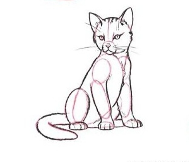 Како нацртати мачку