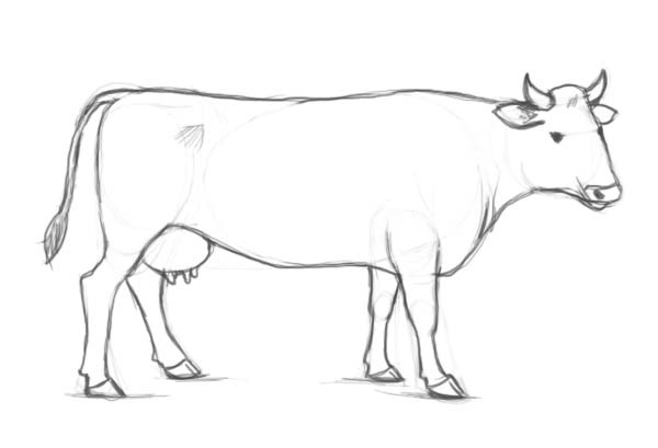 нарисувайте крава с молив