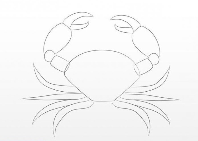 jak nakreslit krab s tužkou