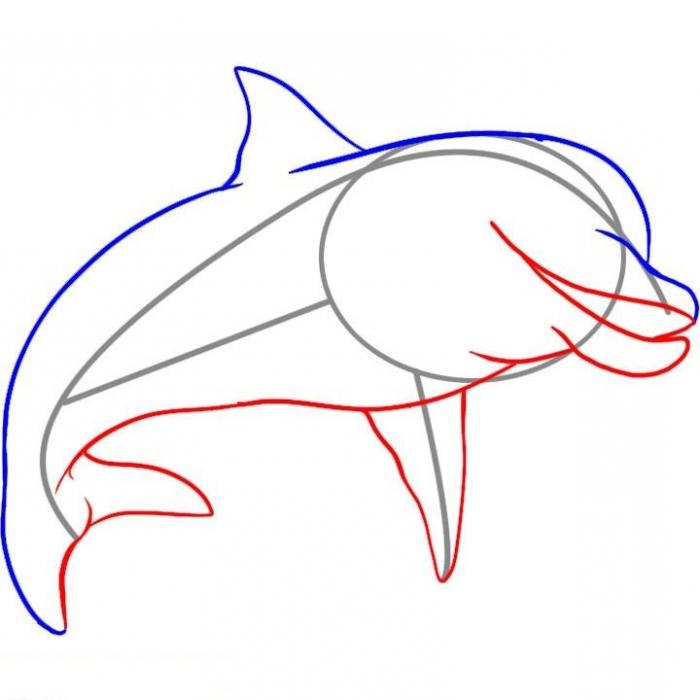 как да нарисувате делфин