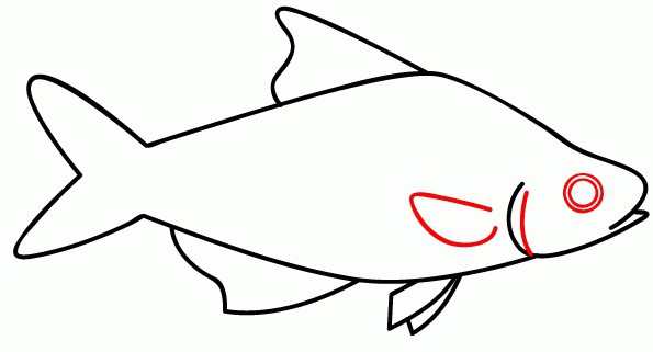 как да нарисувате риба стъпка по стъпка