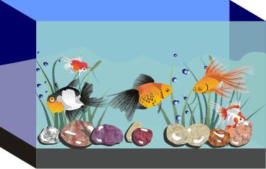 как да нарисувате риба в аквариум