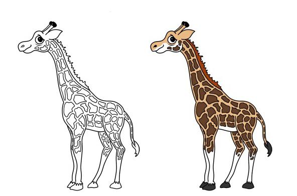 jak narysować żyrafę ołówkiem krok po kroku dla początkujących