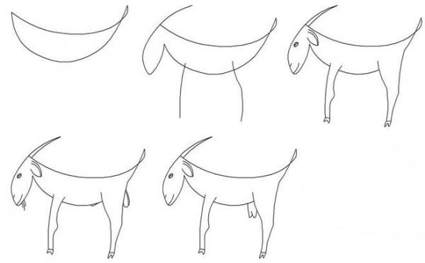 kako nacrtati kozu korak po korak
