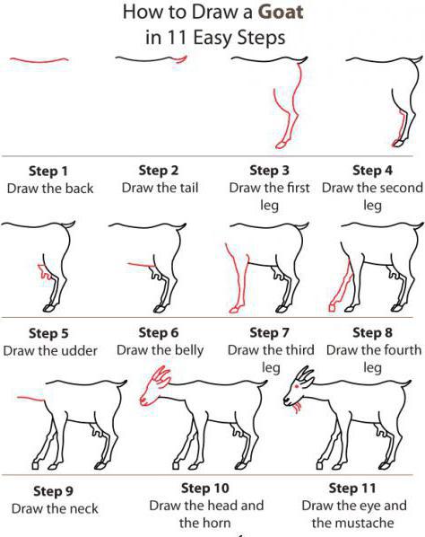 как да се направи молив коза стъпка по стъпка за начинаещи