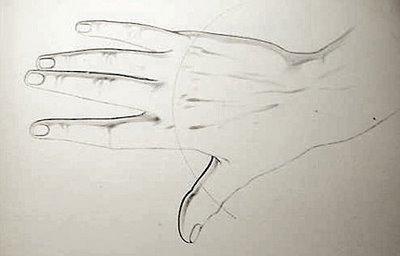 come disegnare mani umane