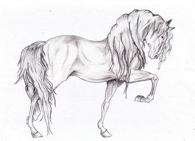 как да нарисувате кон с молив