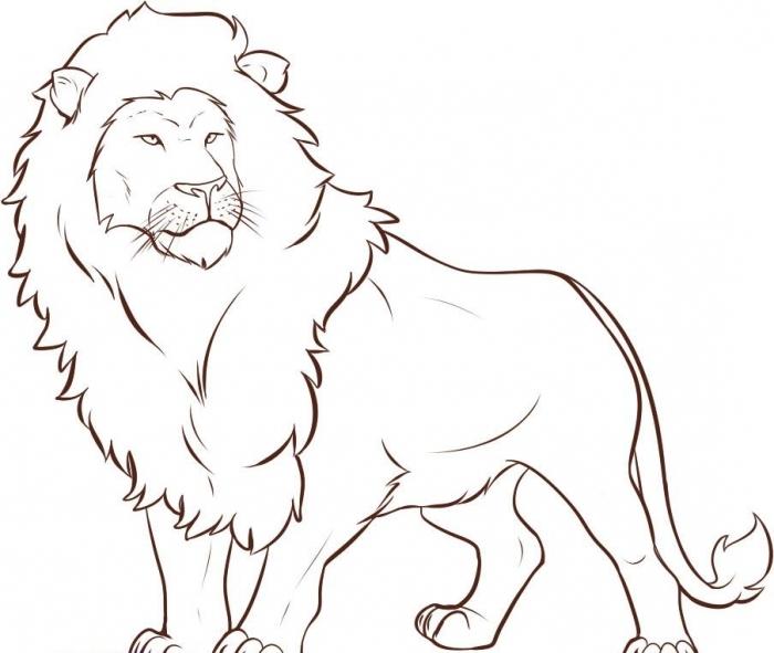 как да нарисуваш лъв