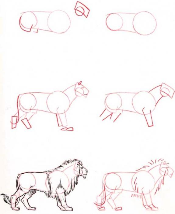 как да нарисуваме лъв стъпка по стъпка