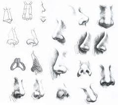 как да нарисувате нос