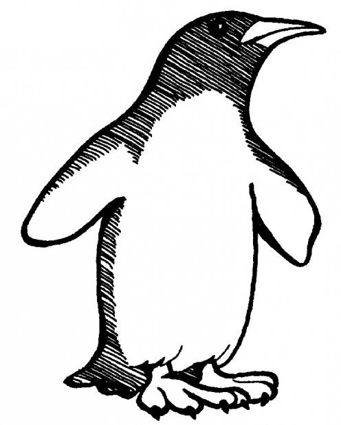 klasa mistrzowska, jak narysować pingwina