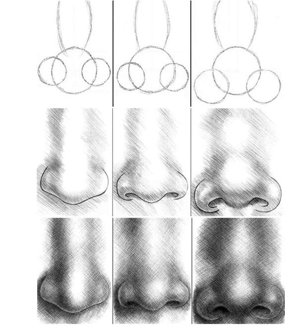 како нацртати нос у фазама