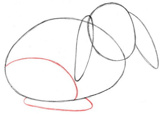 как да нарисувате заек стъпка по стъпка с молив