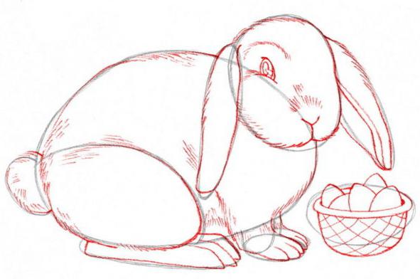 jak narysować dziecko królika