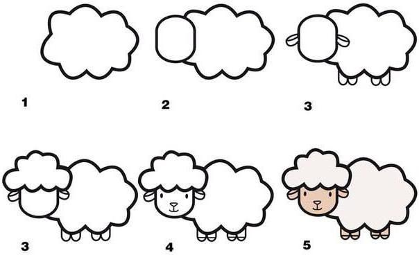 как да нарисувате овца