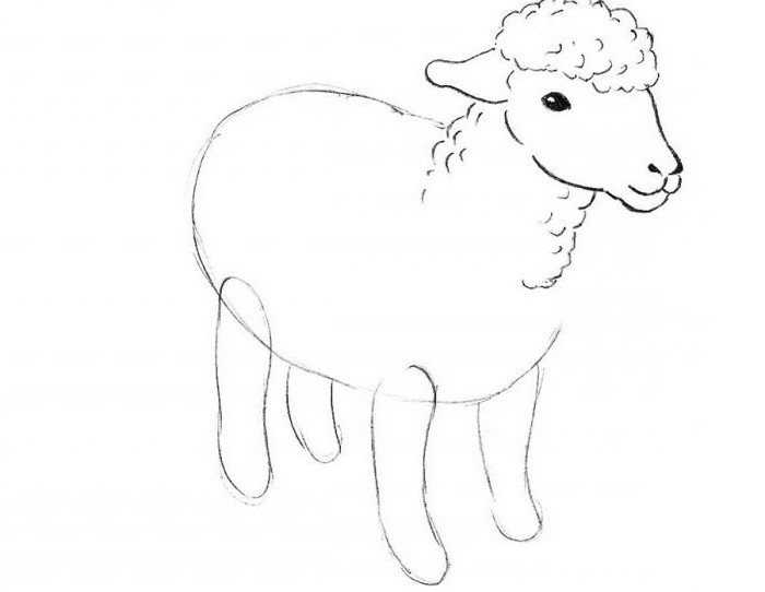 как да се направи овце молив на етапи за начинаещи деца 5 6 години